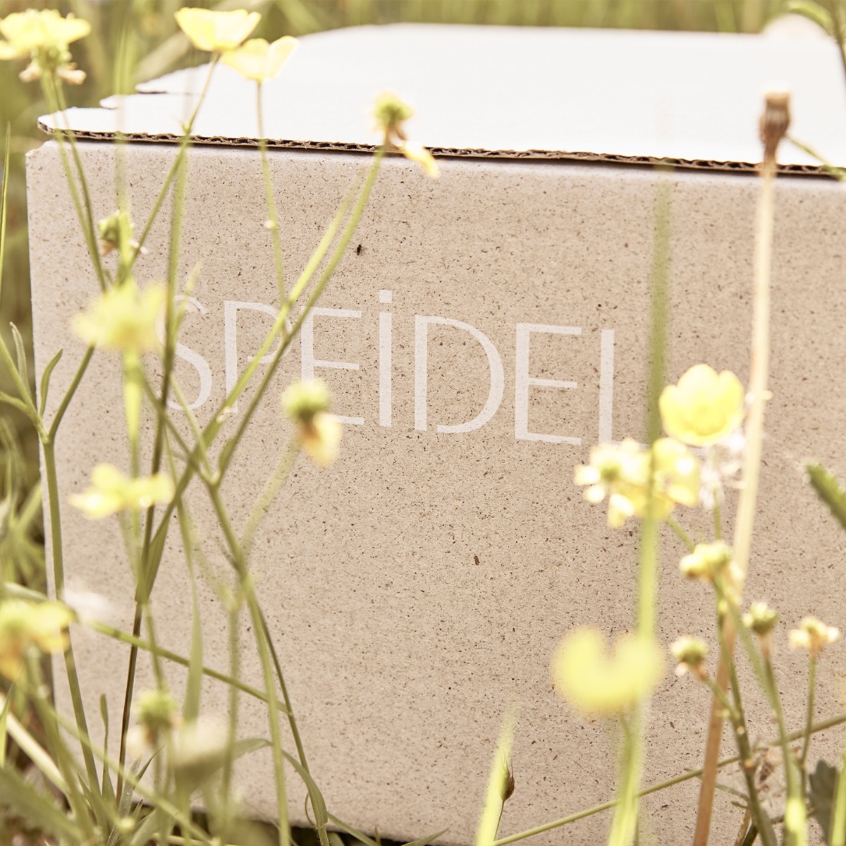 Graskarton mit Speidel Logo